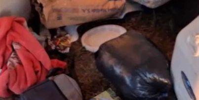 382481988_254814193720753_1869501950693322131_n