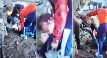 379596406_208373612083127_1748569533090207807_n