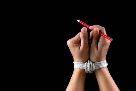 C01E2B11-8B98-408B-BD78-A232683D4EAC