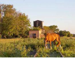 384383800_167273163092182_3445230047565515118_n