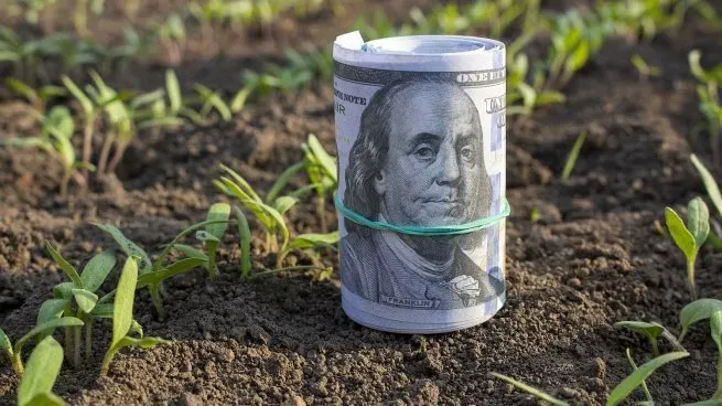 dolar-granos-retenciones-campo