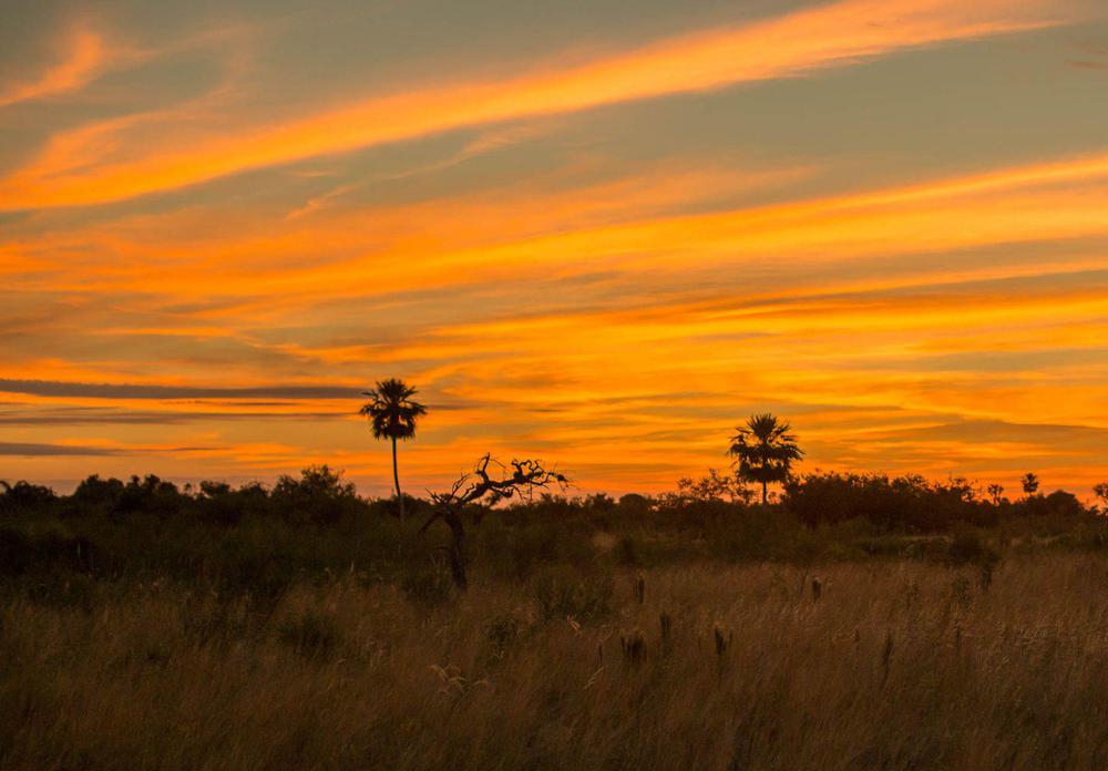 2ede7b34-882f-4003-ad8a-22cd1dcb7d48