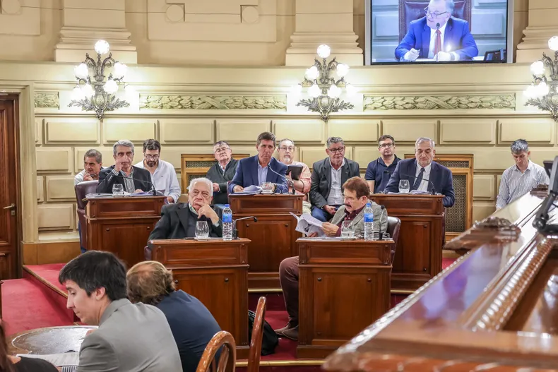 traferri-senado