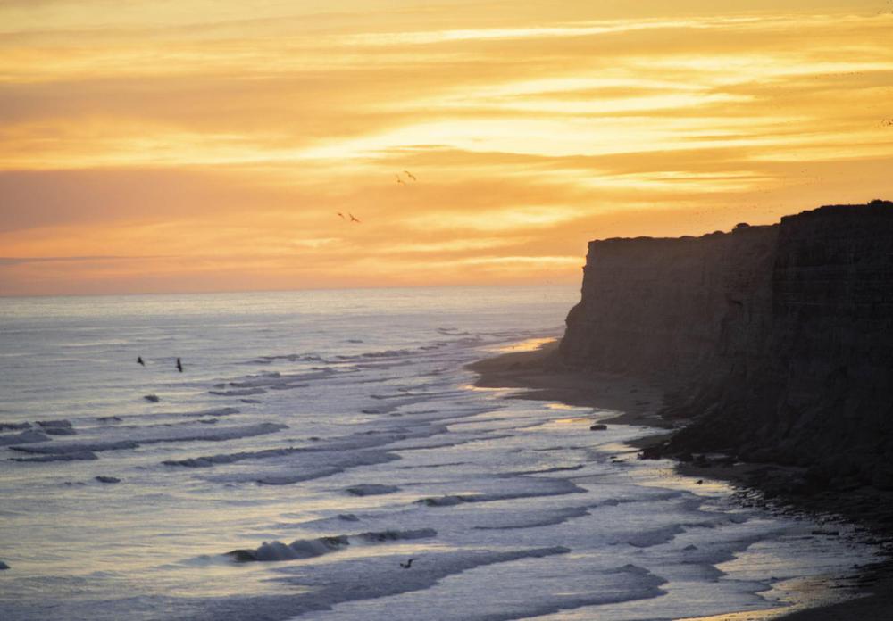 f7ff2894-fb7d-4490-9c6f-c03fc13f4574