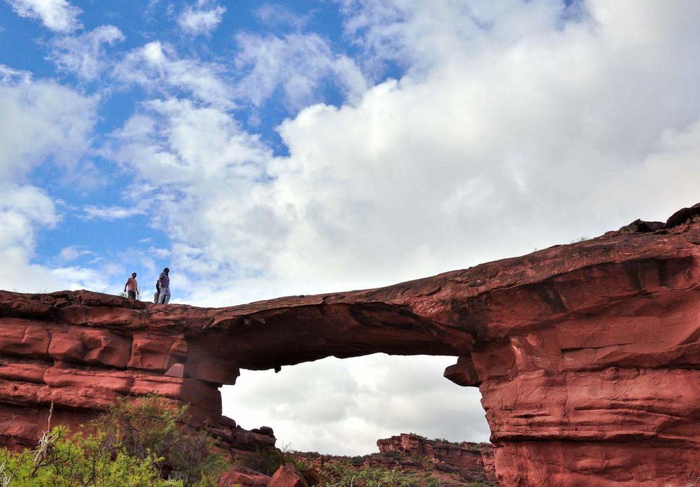 f3c16d80-a2fa-4756-90c9-308efa51d277