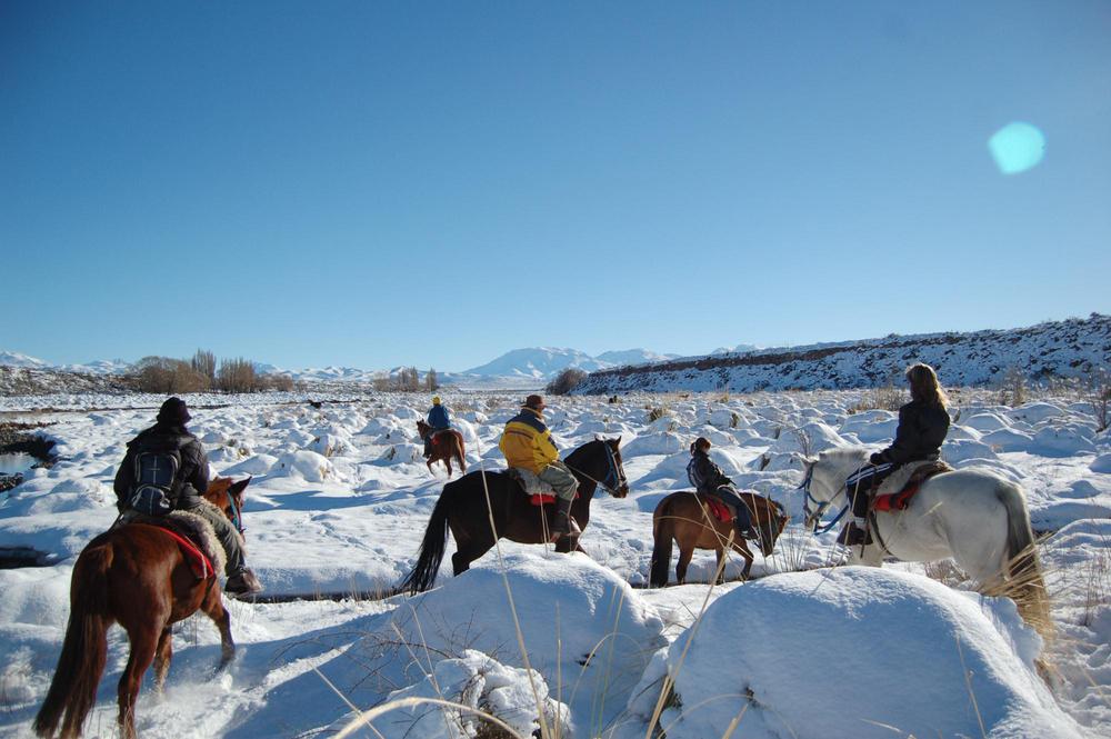 54c78ed8-c4ac-44b8-8aa3-ea0014602aac