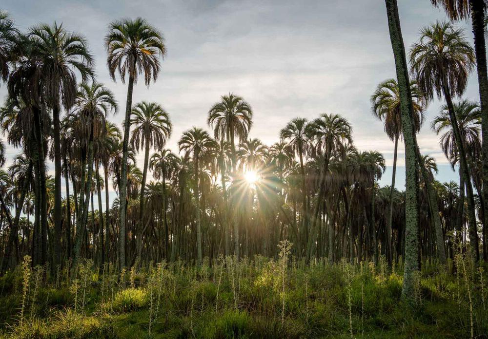 05a86f75-6491-462d-a8b7-33ebb3ffca2b