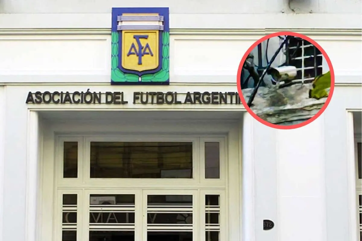 Diseno-sin-titulo-2026-04-10T224539.831