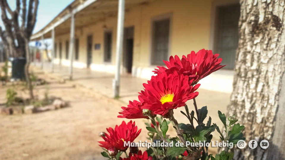 47bc126b29ab2e4583184b19c9b198ae