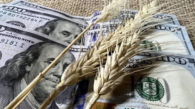 dolar-trigo-granos-retenciones