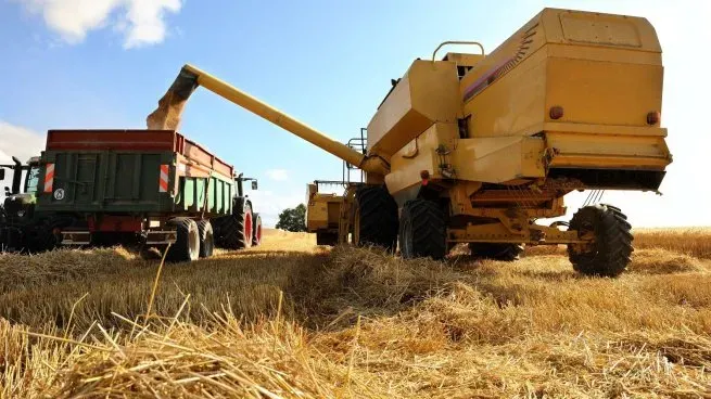 campo-agro-cosecha-trigo