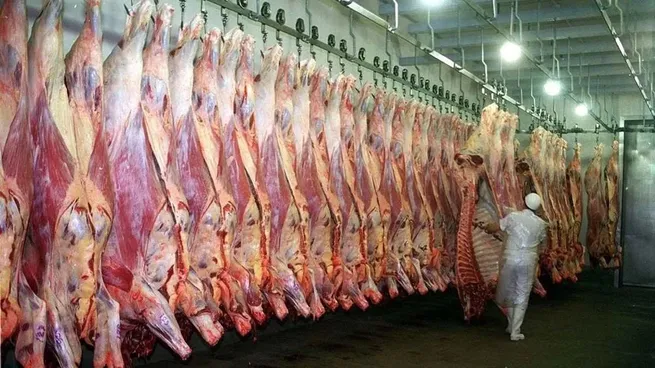frigorifico-carne