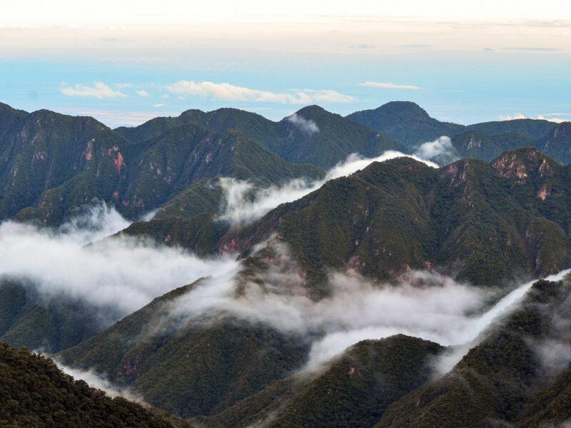 clima_pn_calilegua-800x600