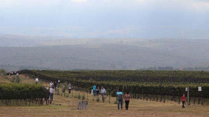 f685x385-282949_320642_5050