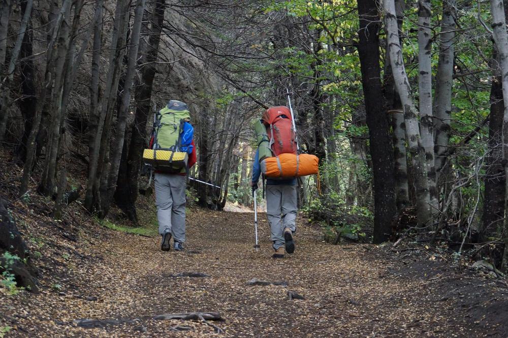 0e4dc45a-491d-4a82-9068-392eab2e31bf