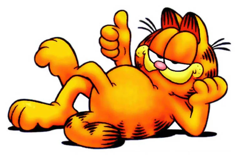 garfield1-1371765075-750x500