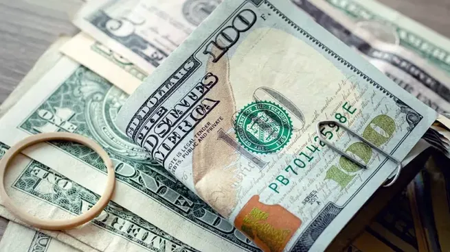 los-expertos-aconsejan-evitar-doblar-los-dolares-tampoco-hay-que-sujetarlos-bandas-elasticas-o-clips-metalicoswebp