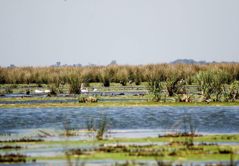 36ada962-5a60-4213-96f6-d8717b2ffce5