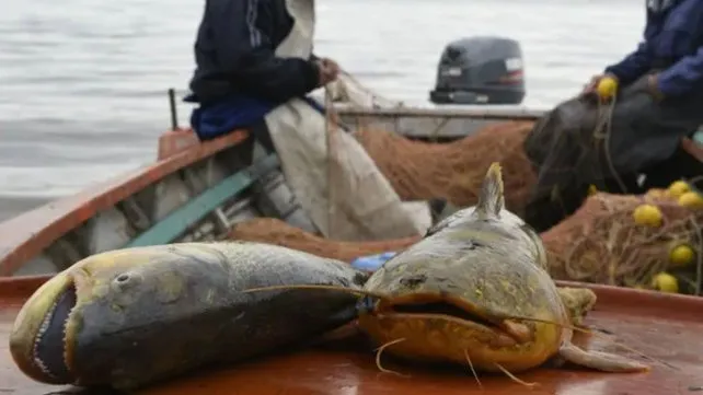 pesca-rio-acopio-pescadores