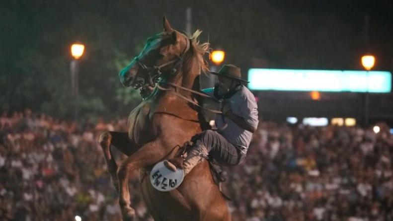 caballos-virus-festival-doma