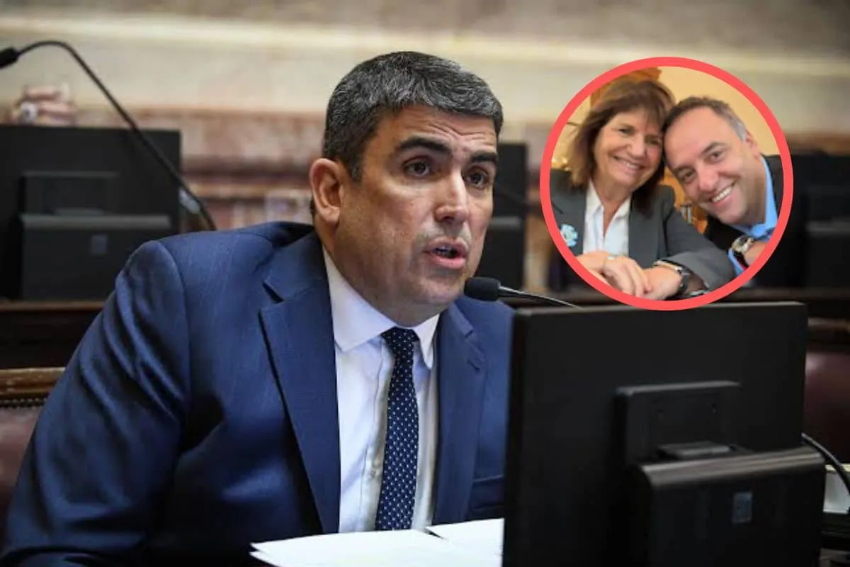 Bullrich-d