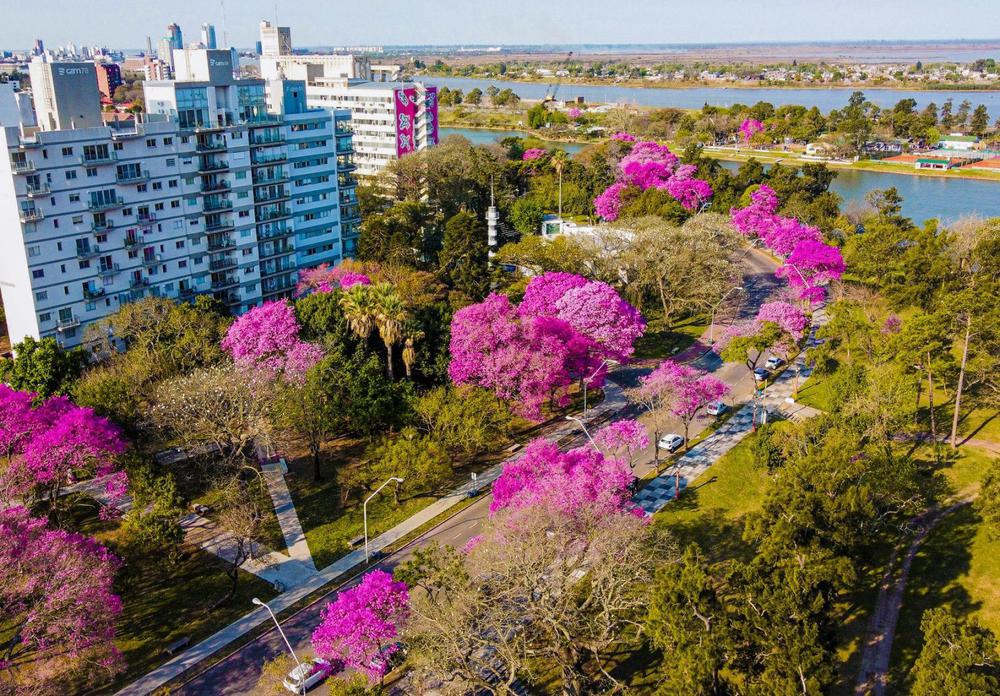 3839c452-dc41-470c-9f6e-7b1229ccb865