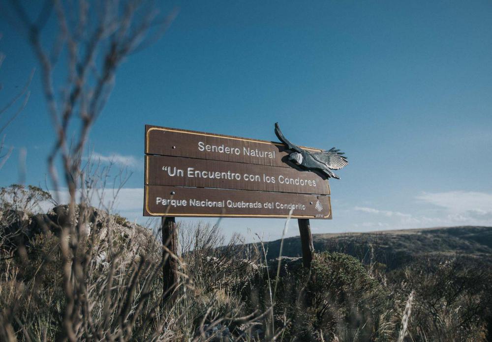 d6c4ec6e-f734-43ed-8332-5c527f0e486b