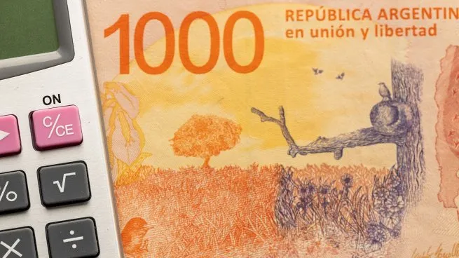 pesos-impuestos-inversiones-salariosjpg